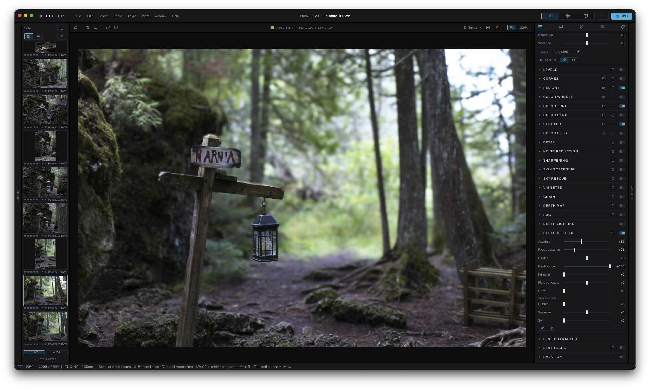 The same woodland photograph with the Narnia sign and lantern sharp and the background trees softened by depth of field.